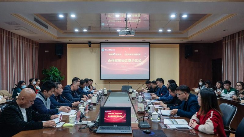 文化传媒公司加盟扶持政策：政策解读与实操要点**