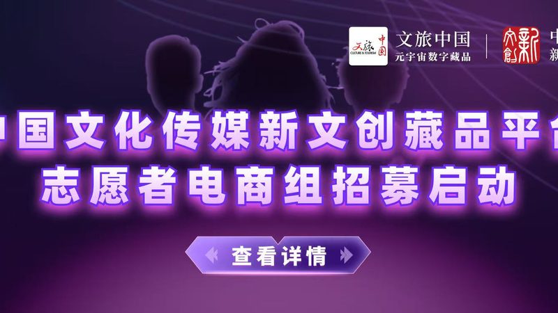 品牌策划市场调研新手入门指南